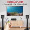 FINE 111 IPL AMPLIFIER Multimedia Player with Bluetooth,Aux,FM Radio 150 W AV Power Amplifier