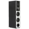 FINE Stra 5 DJ Multimedia Tower Speaker System: Home Theater 48 W Bluetooth Tower Speaker