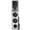 FINE Stra 1 DJ Multimedia Tower Party Speaker 48 W Bluetooth Tower Speaker